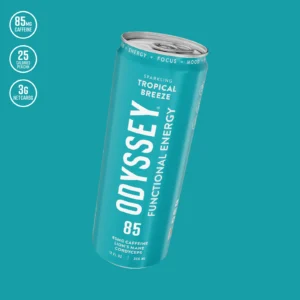 Odyssey Elixir - Functional Mushroom Sparkling Seltzers - (Flavors Vary)